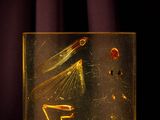 an image of a glass box with a picture of a mantisce in it