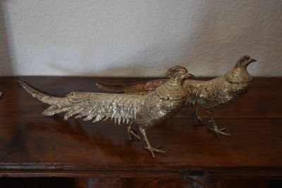 two birds that are standing on a wooden table