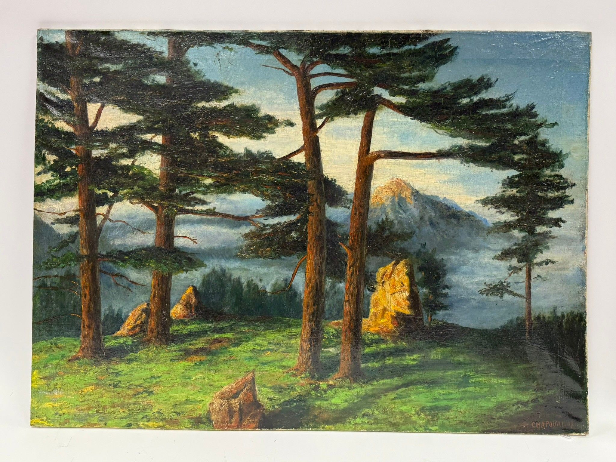 Objets d'art & Curiosités