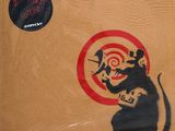 a picture of a rat with a target on it