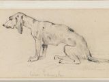 an image of a drawing of a dog sitting on the ground