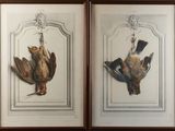 deux photos d'oiseaux encadrées accrochées au mur