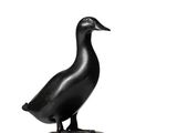 statue of a black duck on a white background