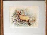 painting of an elk with antlers in a frame on a wall