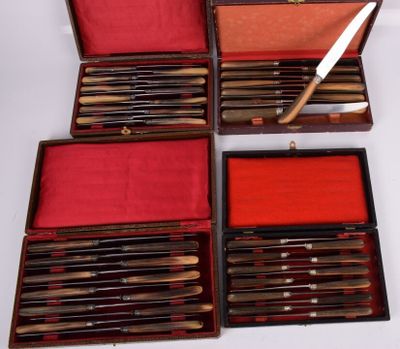 several knives and a knife sharper in a case on a white surface
