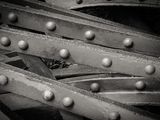 black and white photograph of a bunch of metal pieces
