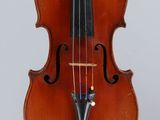 gros plan d'un violon sur fond blanc