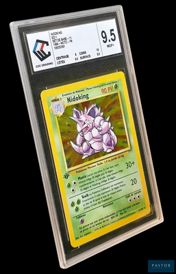 une image d'une carte Pokémon dans un étui en plastique