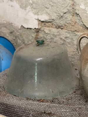 deux vases posés l'un à côté de l'autre sur une table
