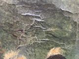a close up of a painting of a man and a dog