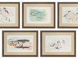quatre aquarelles encadrées représentant des personnes et des animaux sur fond blanc