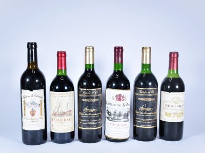 6 BTS de VIN du SUD OUEST - 2 BTS de Fronton Côte de Fronten…
