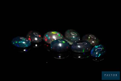 Plusieurs oplites sont alignés sur une surface noire