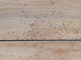 a close up view of a wooden floor with holes in it