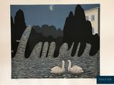 une photo de deux cygnes dans l'eau, la nuit