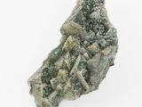 an image of a piece of rock with moss growing on it