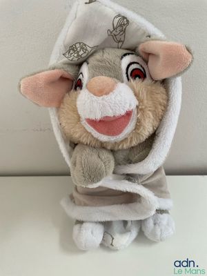 a small stuffed animal that is wrapped in a towel