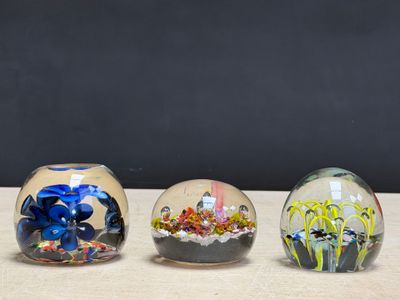 three glass vases sitting on a table with plants in them