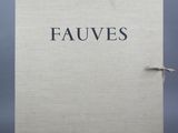 un livre blanc sur lequel est inscrit le mot « fauves »