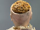 a close up of a doll ' s head with a piece of bread in it