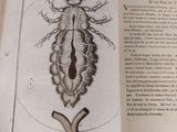 someone is holding a book with a drawing of a bug on it