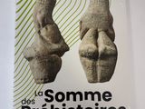 the book cover of le somme des prehistiqueres, with two heads of a man and a woman