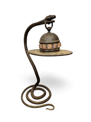 une image représentant une table en métal sur laquelle se trouve un serpent