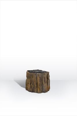 a tree stump that is sitting in the middle of a room