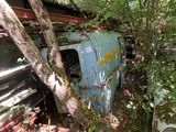 deux vieilles voitures garées l'une à côté de l'autre dans les bois