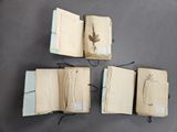 three open books on a table with a plant on top of them