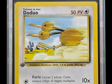 an image of a pokemon card with a picture of a bird on it
