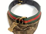 an image of a dog collar with a dog tag on it