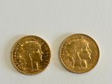 two gold sovereigns on a white surface