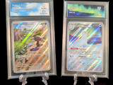 deux cartes Pokémon exposées sur un fond noir