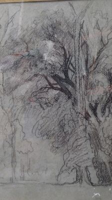 dessin représentant un arbre dans un parc, avec un banc au premier plan