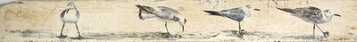 de nombreux oiseaux perchés sur un morceau de bois