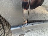 un chien qui se tient près de la portière d'une voiture