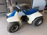 a small blue and white quad bike parked in a garage