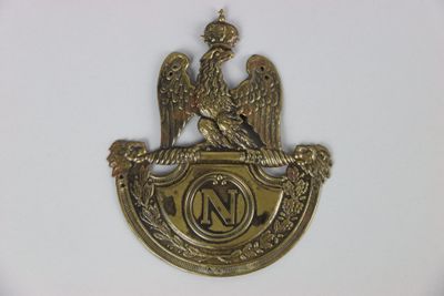 an image of a brass plate with an eagle on it