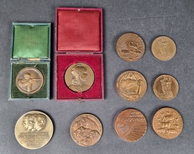 Lot de 10 médailles en bronze et métal patiné, diverses thém…