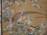 a bird that is sitting on a branch of a tree