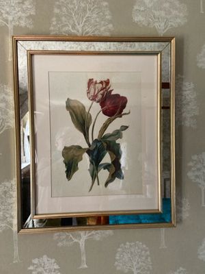 une photo d'une photo d'une fleur accrochée au mur