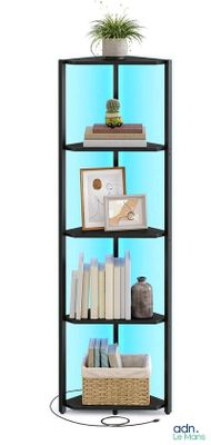une photo d'une bibliothèque avec des livres et une plante