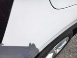 a cat that is sitting on the hood of a car