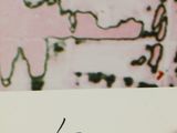 a person holding a piece of paper with a drawing on it