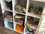 a cat that is sitting on a shelf in a room