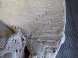 a close up of a piece of stone with writing on it