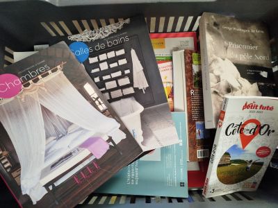 Lot de 15 articles - PETIT FUTÉ ELLE DÉCORATION - Livres et …
