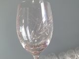 a person holding a wine glass in their hand