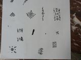 a piece of paper that has a drawing of a bird on it